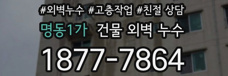 명동1가 건물 외벽 누수