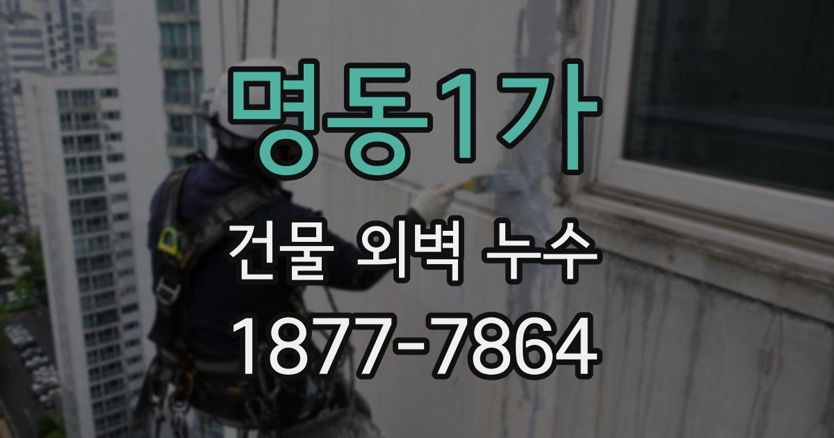 명동1가 건물 외벽 누수