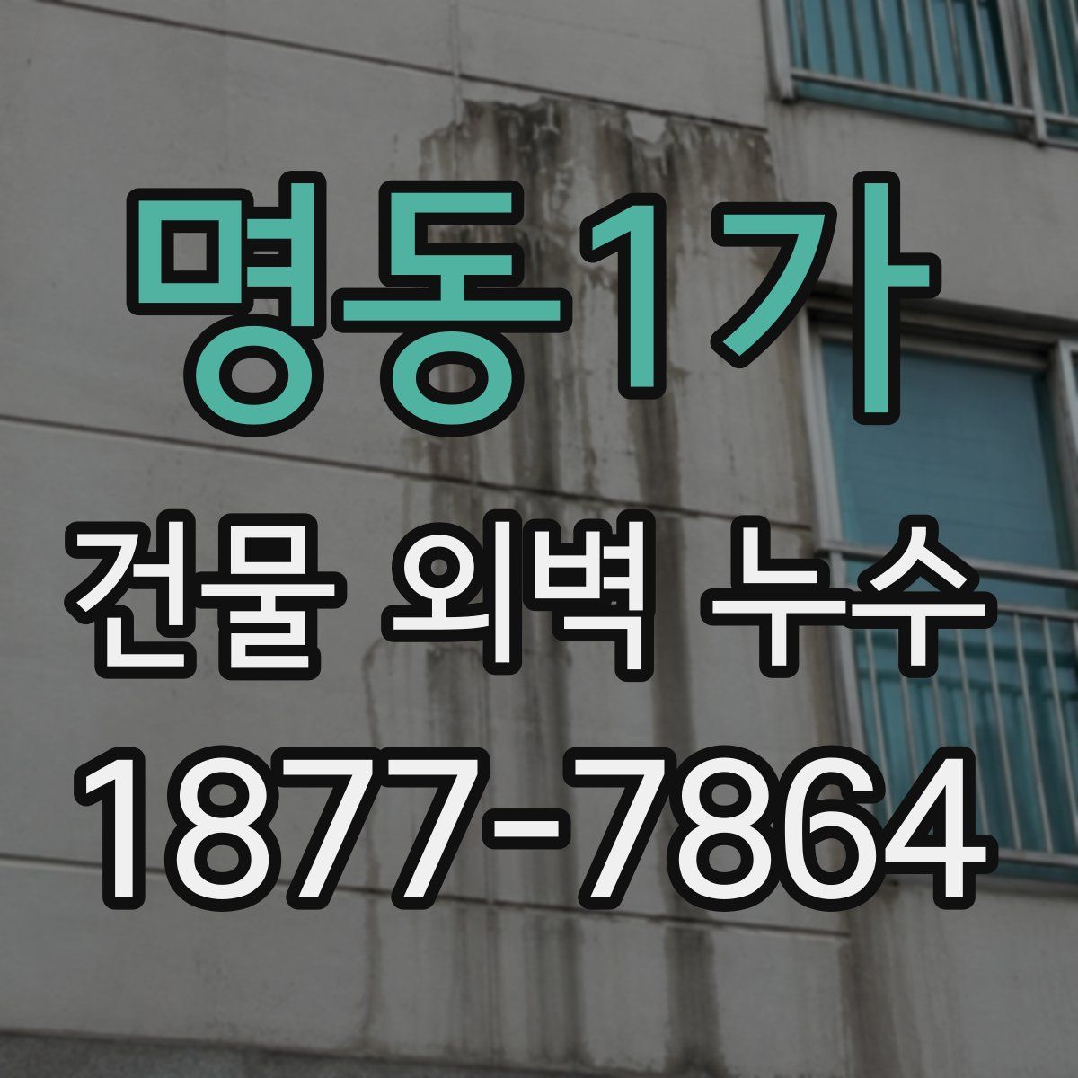명동1가 건물 외벽 누수