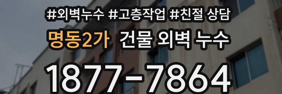 명동2가 건물 외벽 누수
