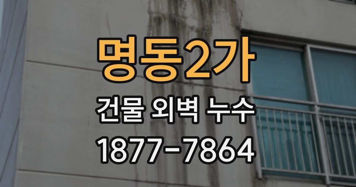 명동2가 건물 외벽 누수