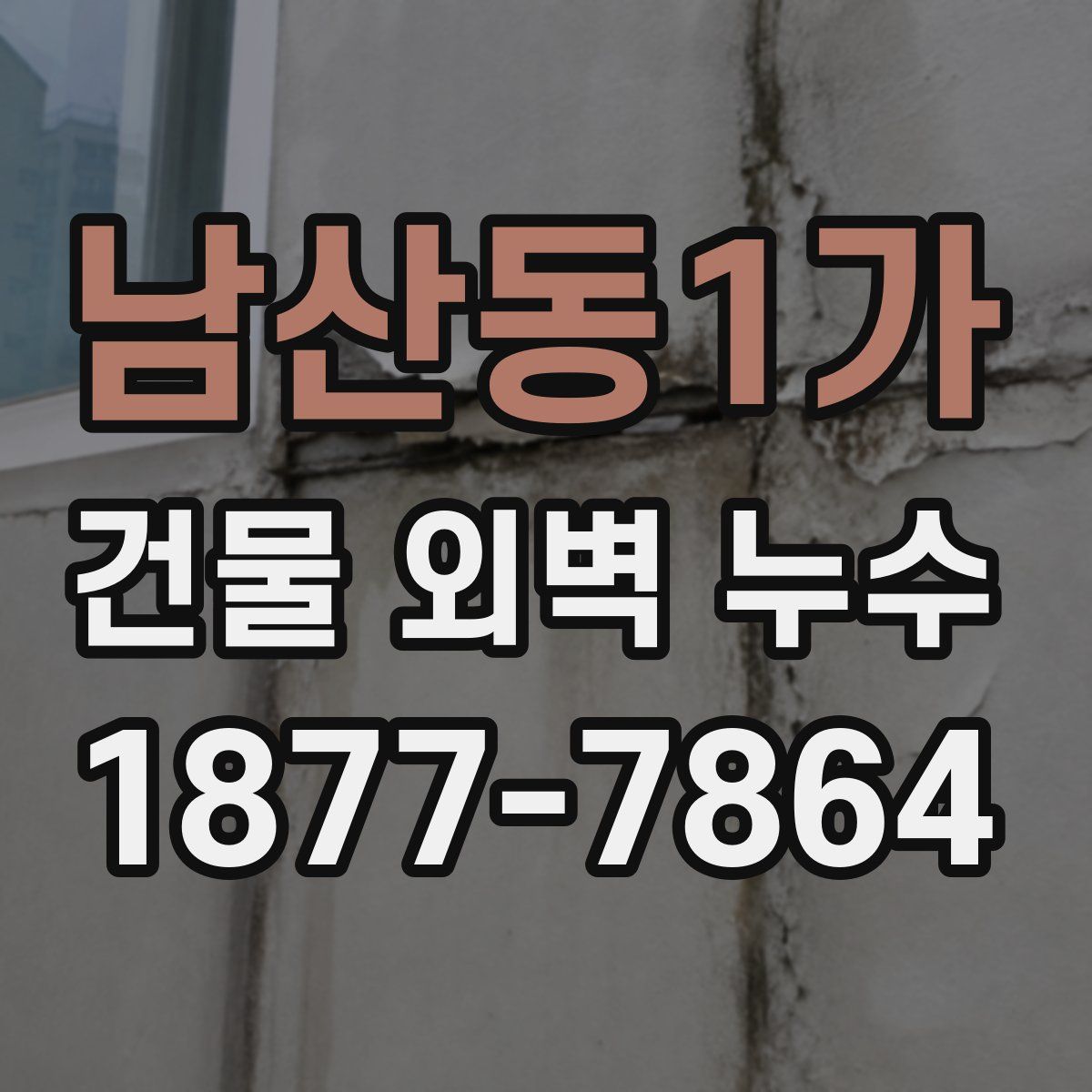 남산동1가 건물 외벽 누수