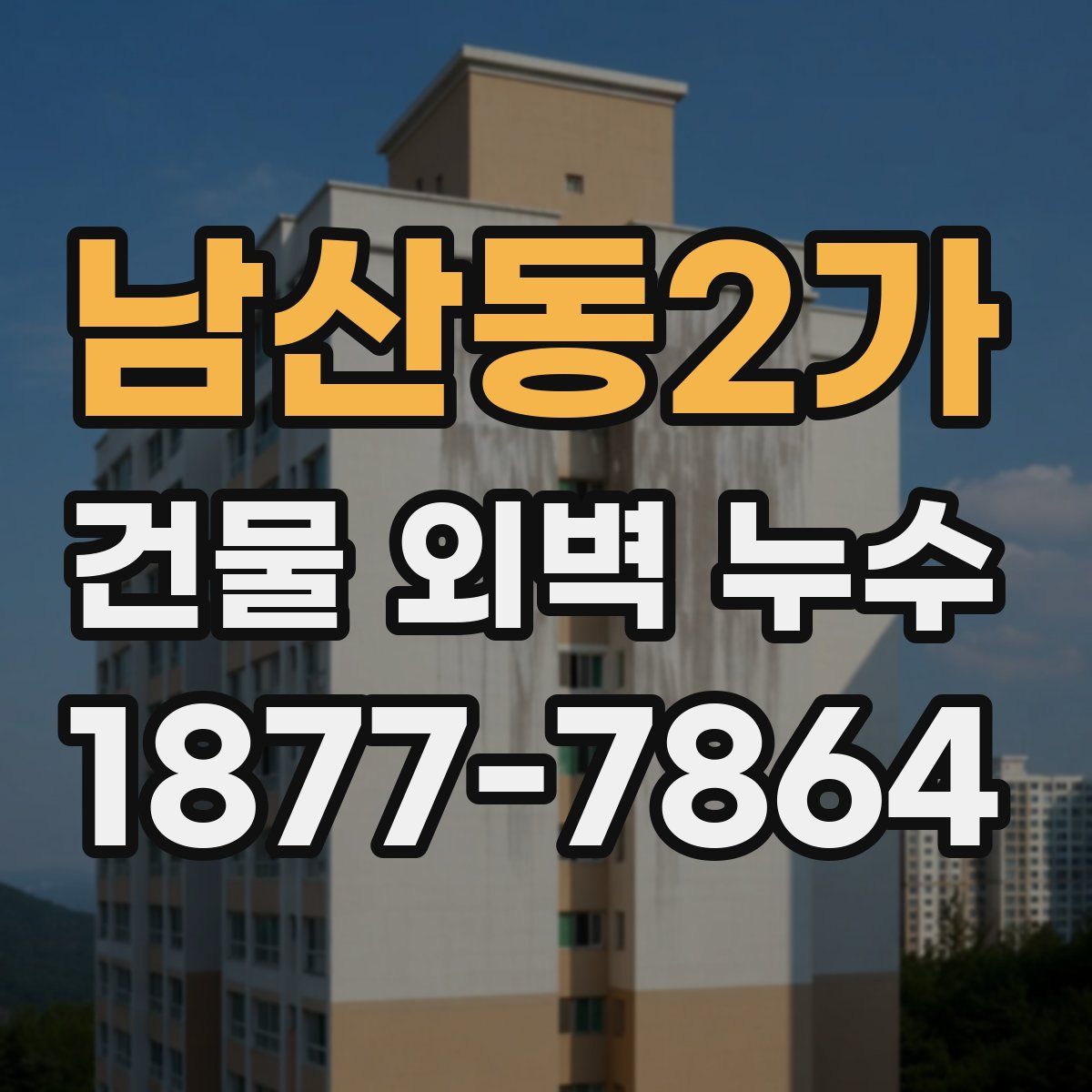 남산동2가 건물 외벽 누수