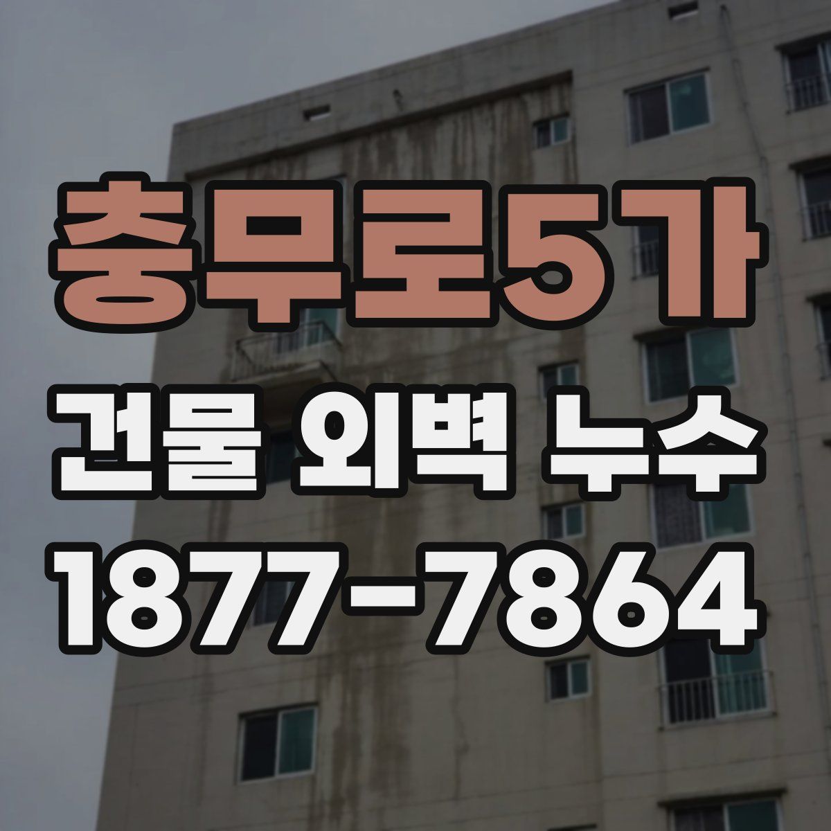 충무로5가 건물 외벽 누수