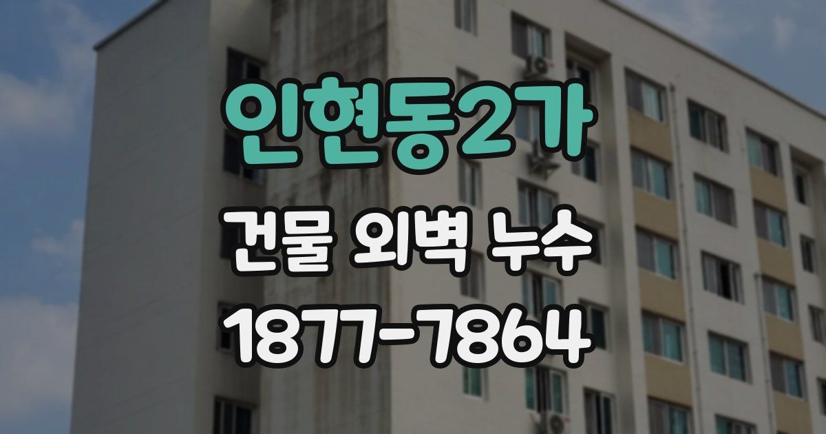 인현동2가 건물 외벽 누수