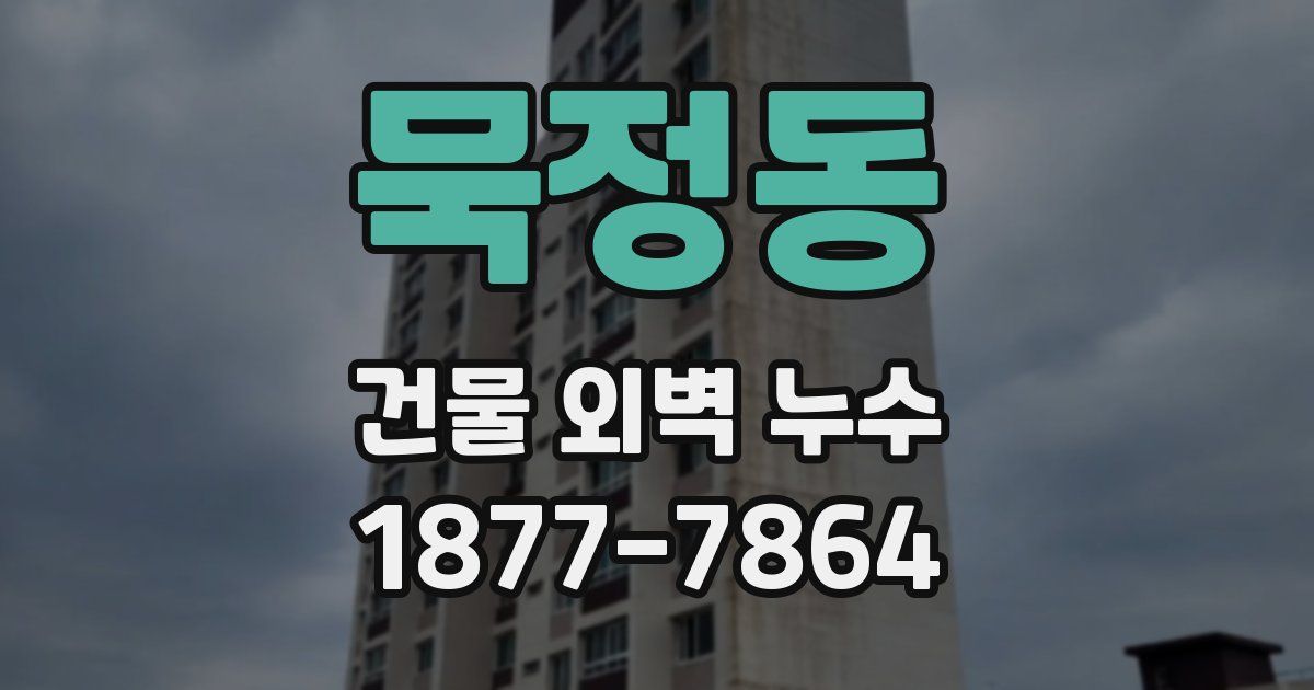 묵정동 건물 외벽 누수