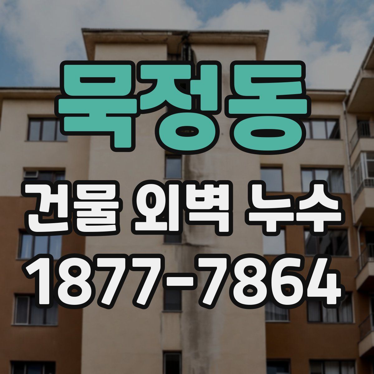 묵정동 건물 외벽 누수