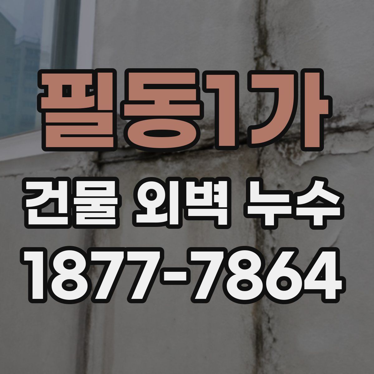 필동1가 건물 외벽 누수