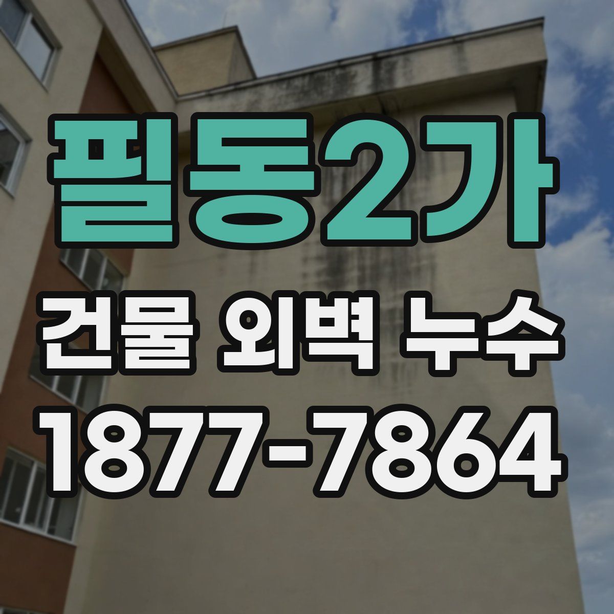 필동2가 건물 외벽 누수