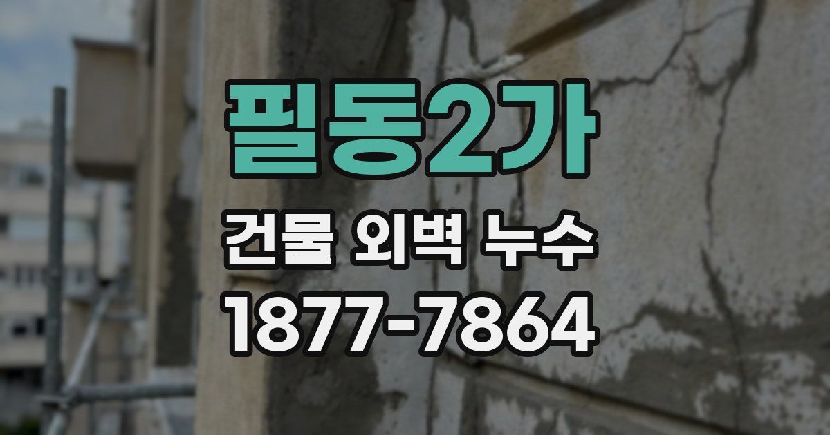 필동2가 건물 외벽 누수