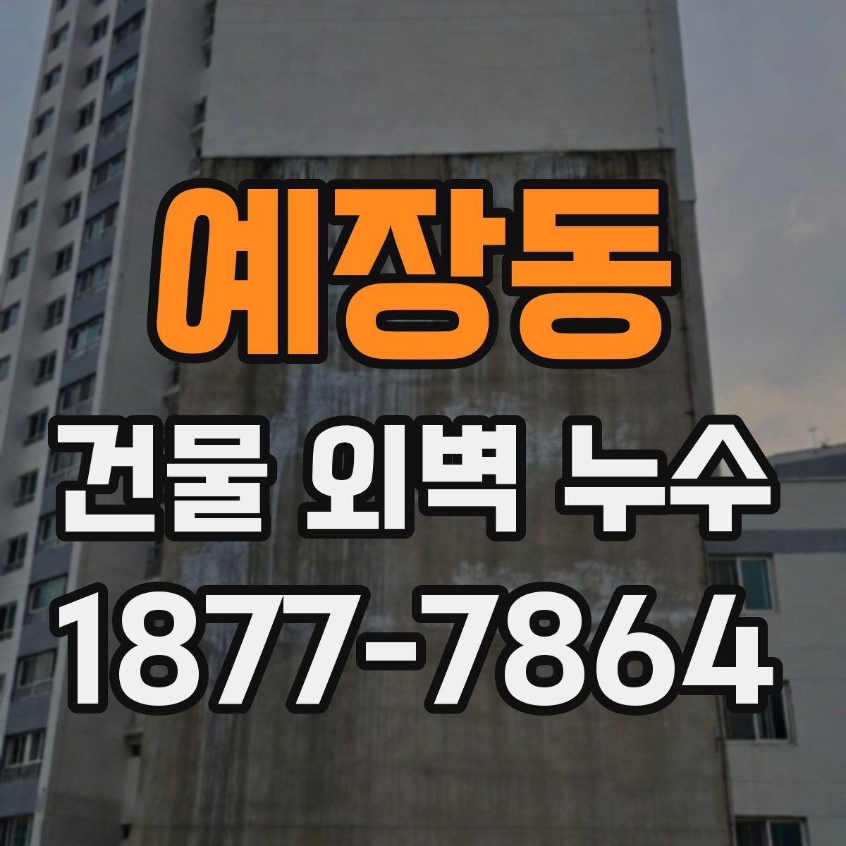 예장동 건물 외벽 누수