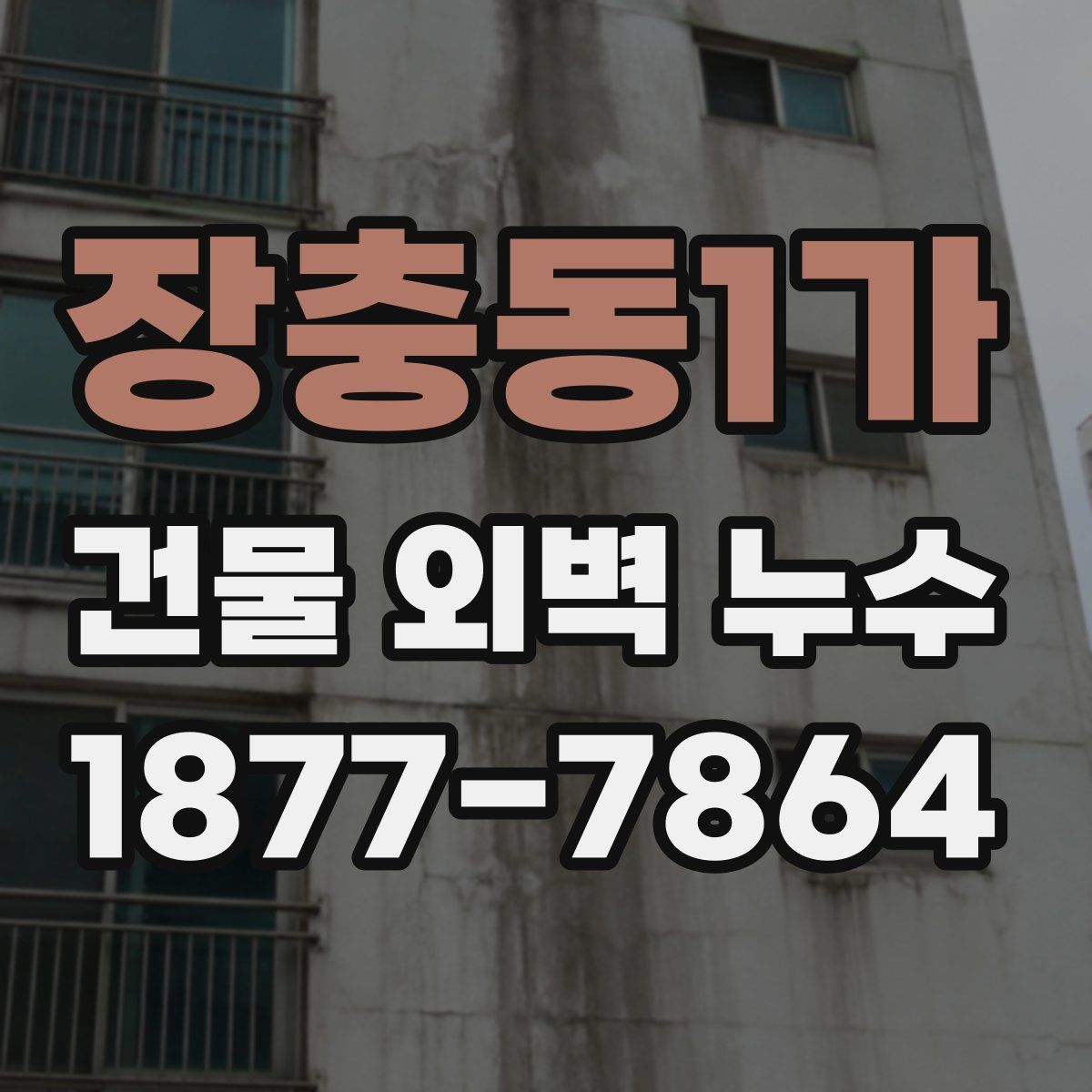 장충동1가 건물 외벽 누수
