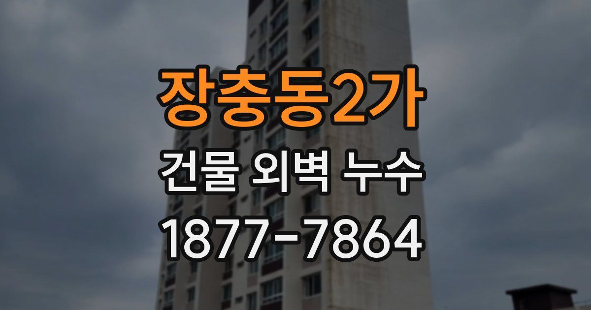 장충동2가 건물 외벽 누수