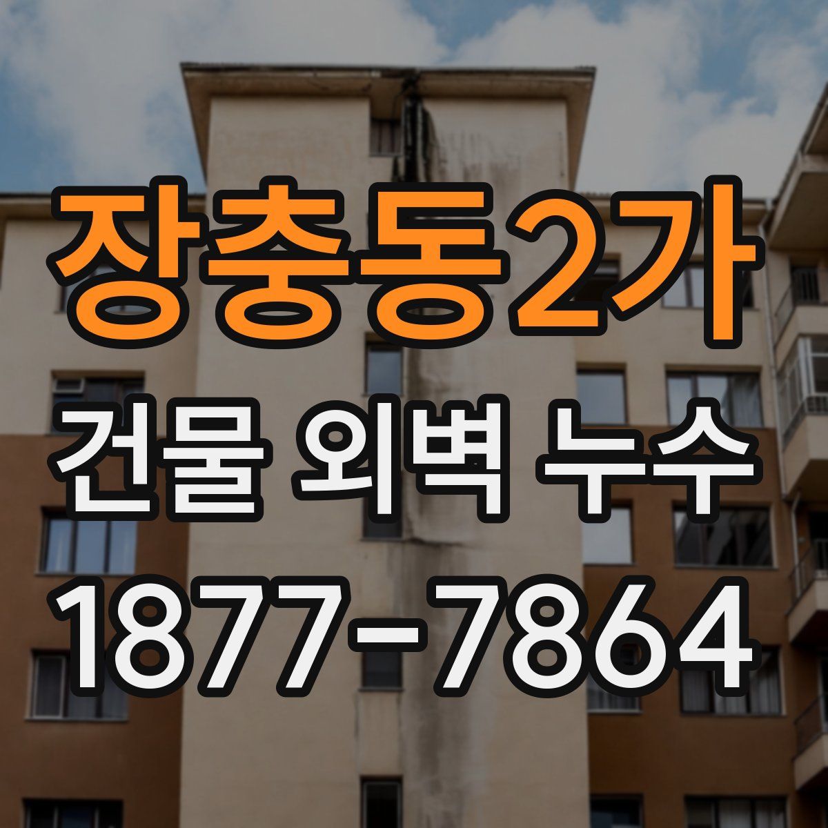장충동2가 건물 외벽 누수