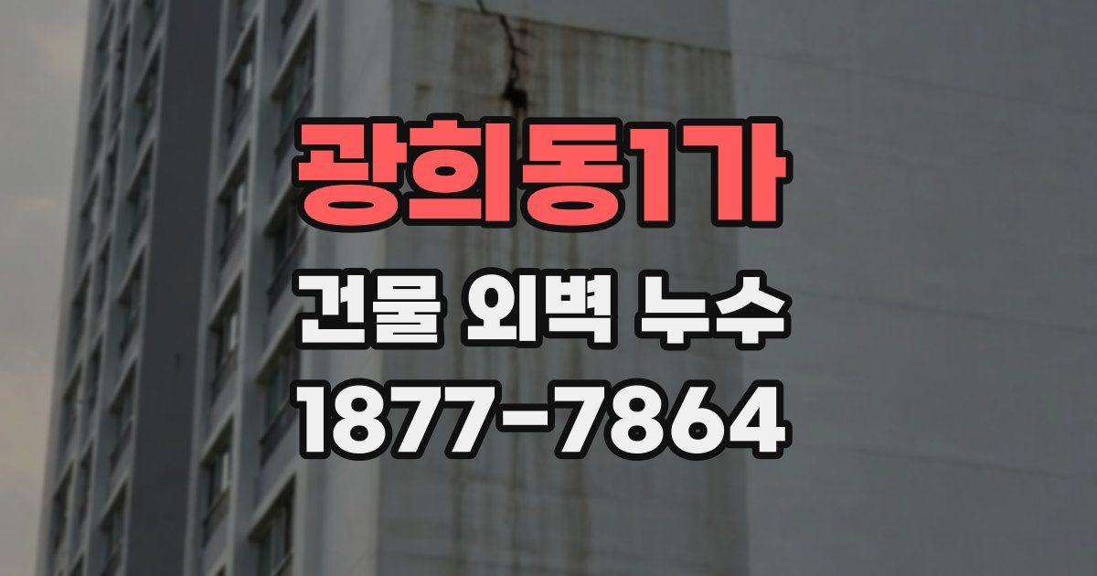 광희동1가 건물 외벽 누수