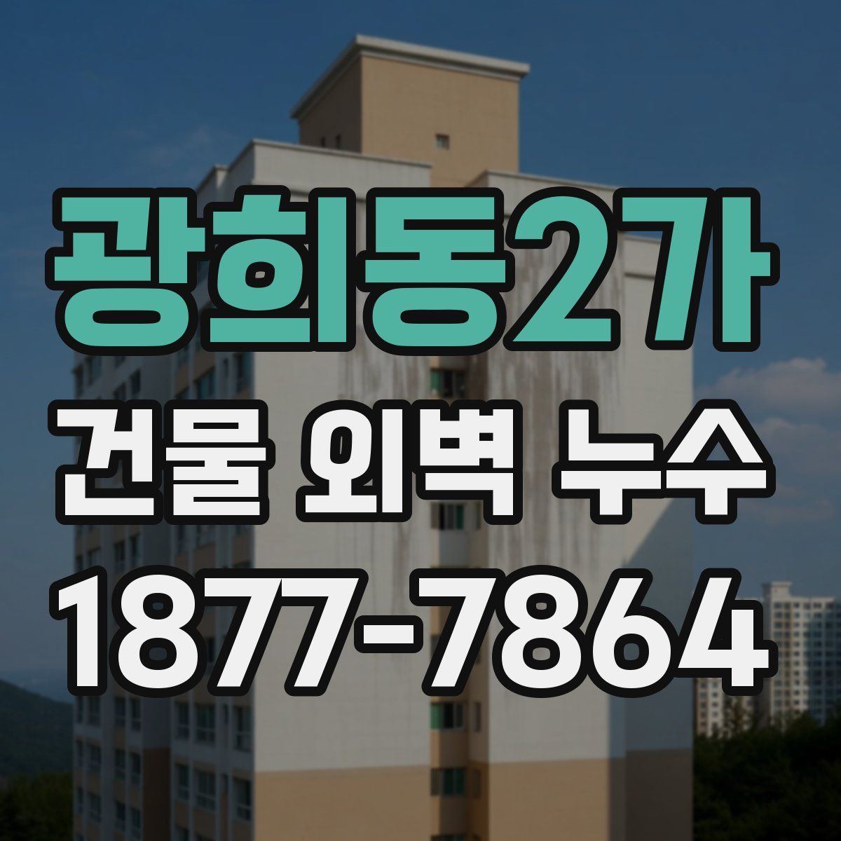 광희동2가 건물 외벽 누수
