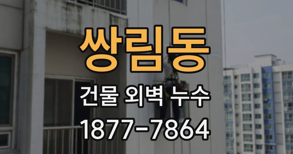 쌍림동 건물 외벽 누수