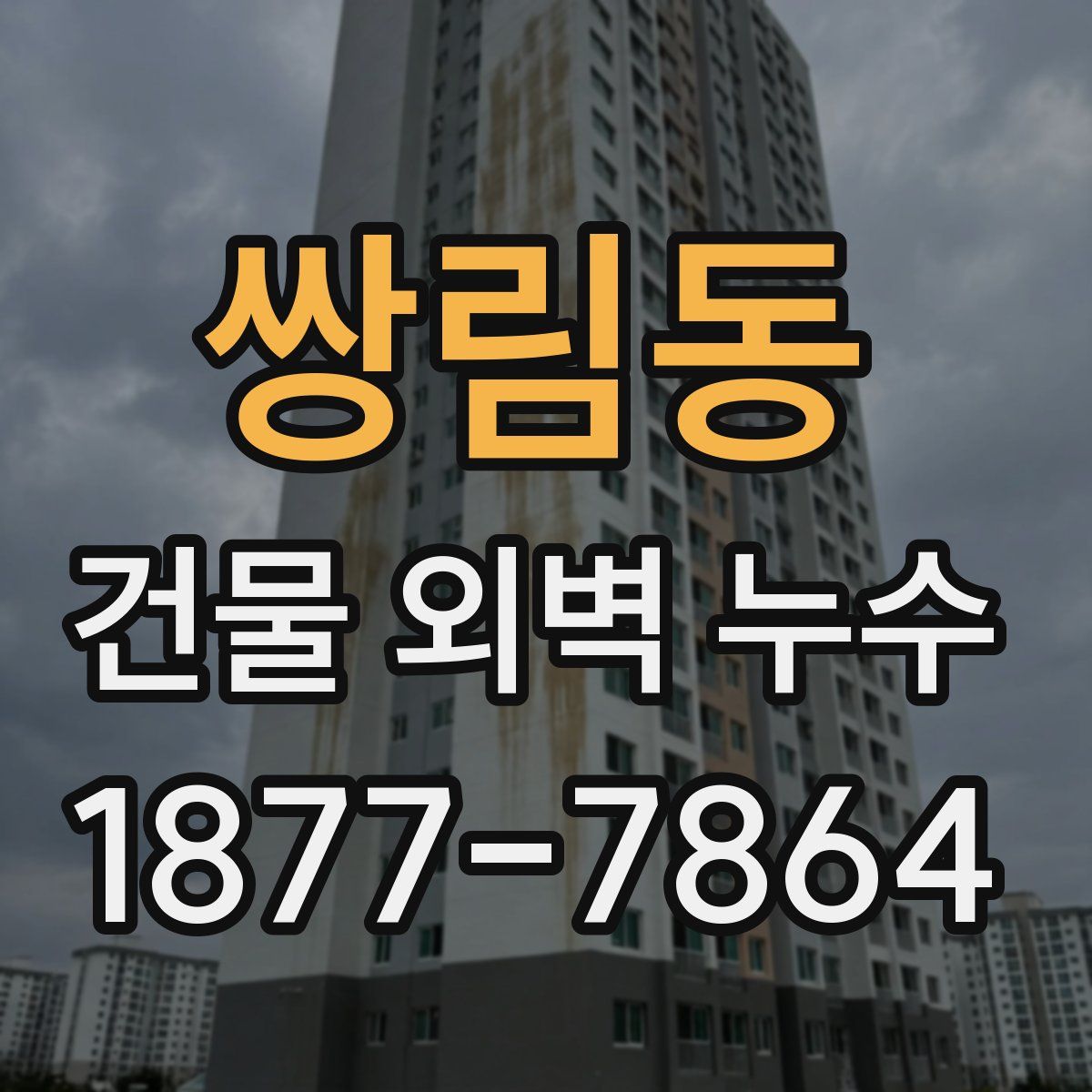 쌍림동 건물 외벽 누수