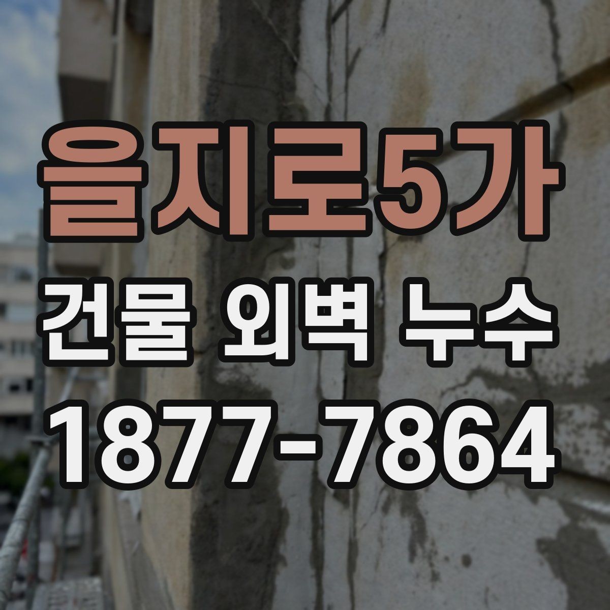 을지로5가 건물 외벽 누수 재발 방지를 위한 관리 팁
