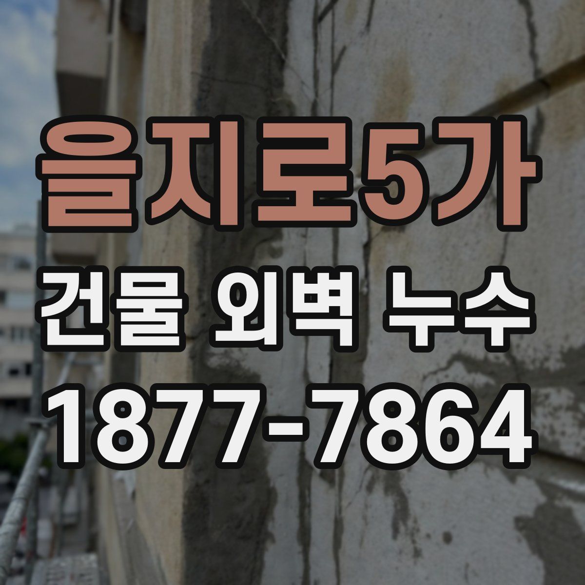 을지로5가 건물 외벽 누수