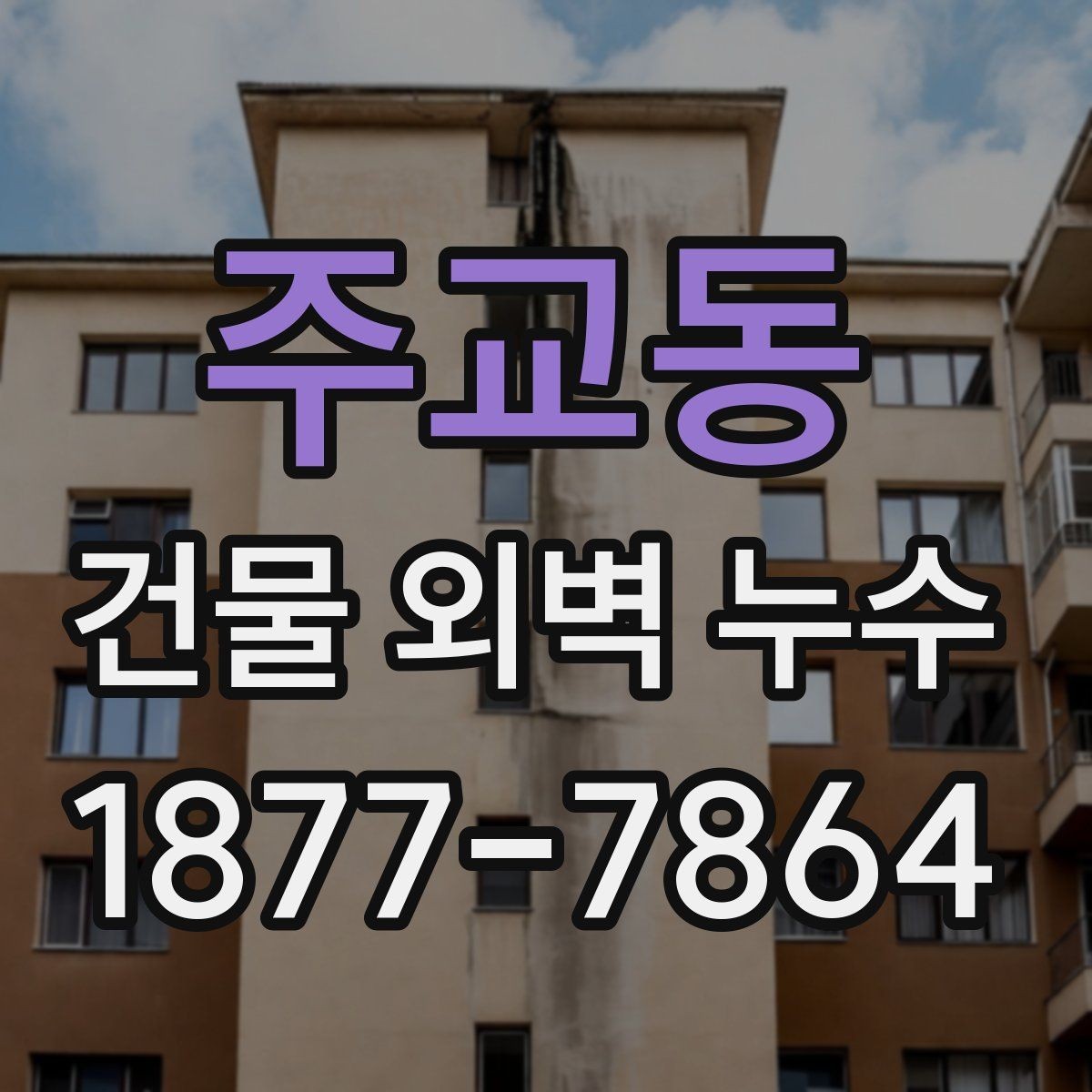 주교동 건물 외벽 누수 예방을 위한 계절별 점검