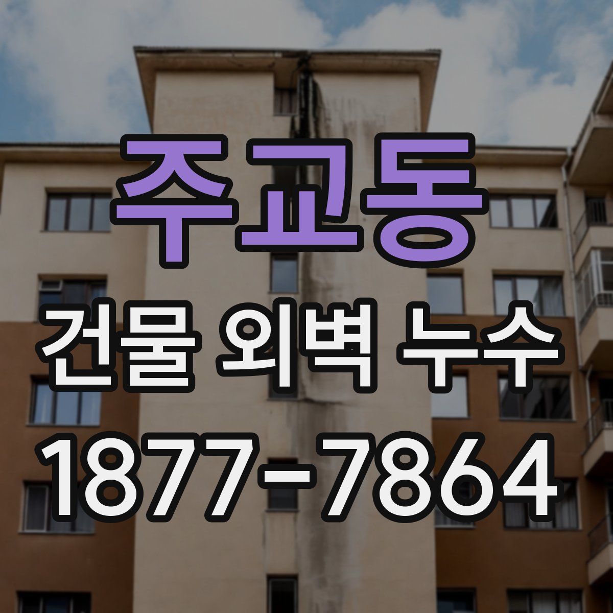 주교동 건물 외벽 누수