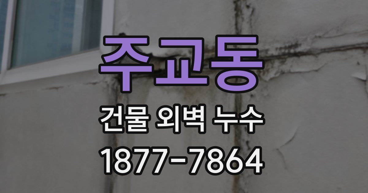 주교동 건물 외벽 누수