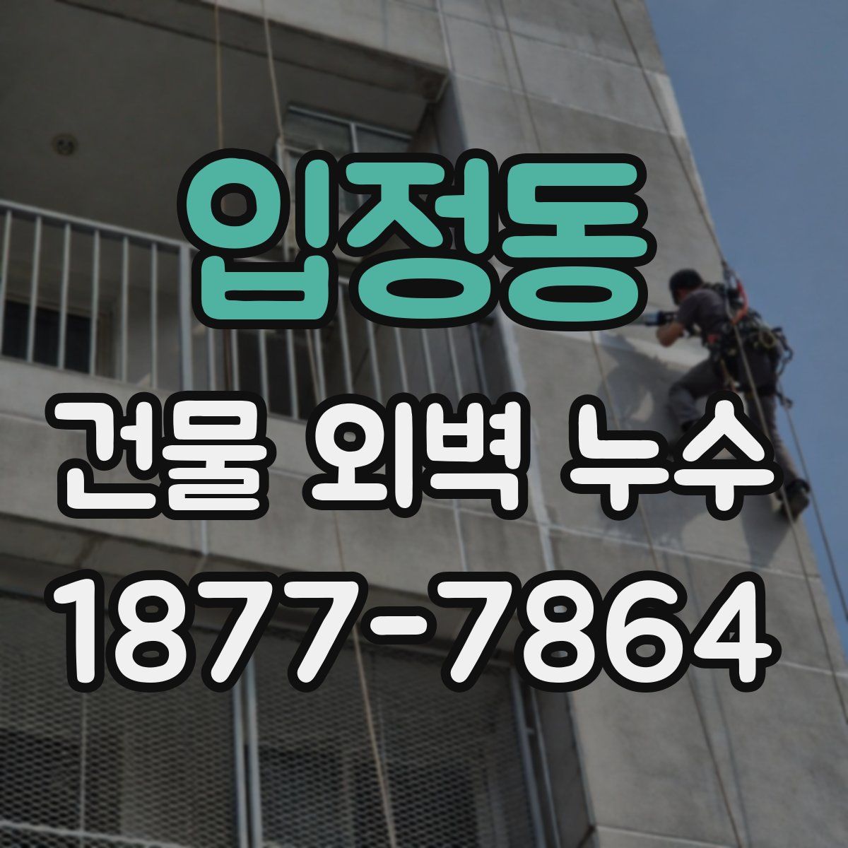 입정동 건물 외벽 누수
