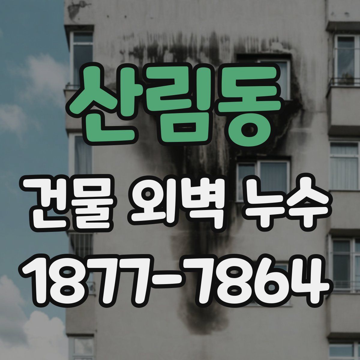 산림동 건물 외벽 누수