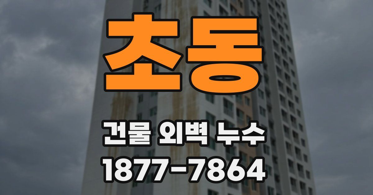 초동 건물 외벽 누수