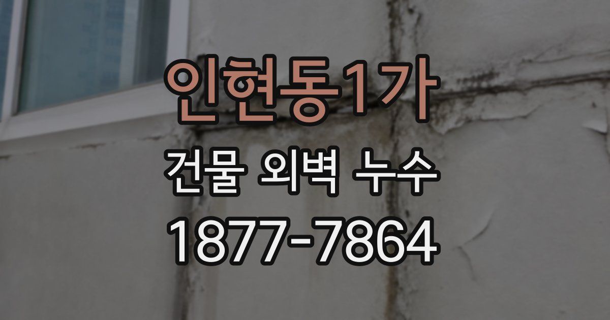 인현동1가 건물 외벽 누수