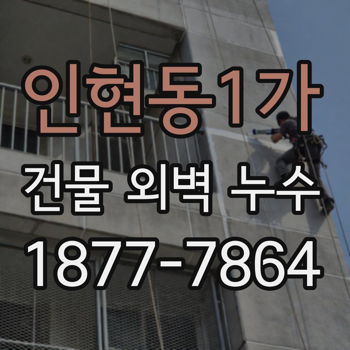 인현동1가 건물 외벽 누수