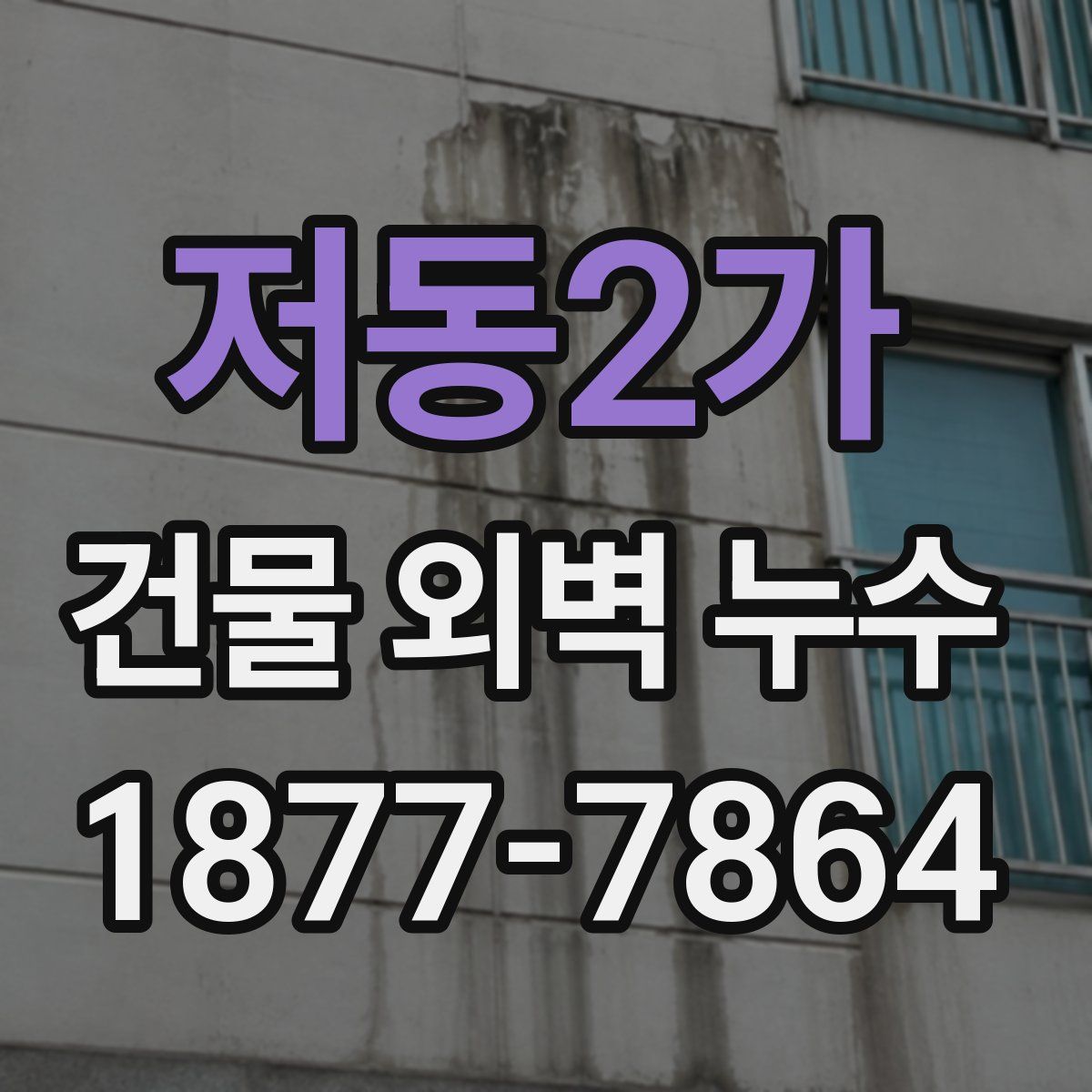 저동2가 건물 외벽 누수