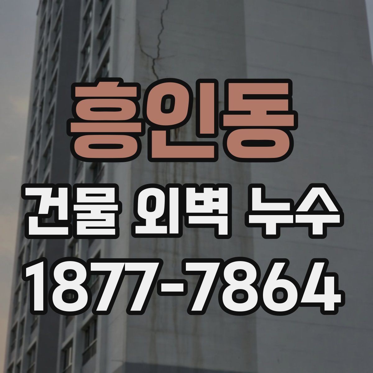 흥인동 건물 외벽 누수 의심 부위 확인 요령