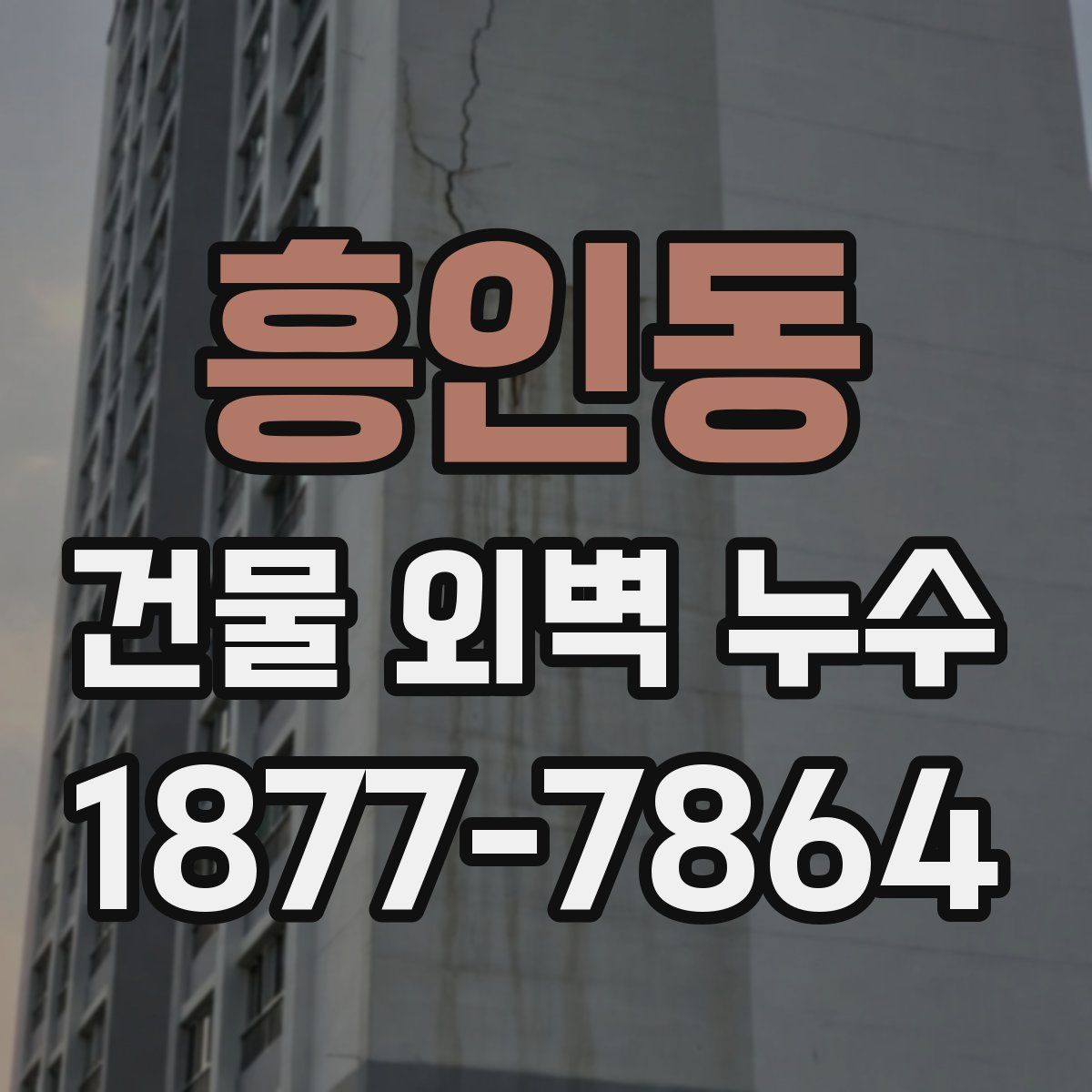 흥인동 건물 외벽 누수