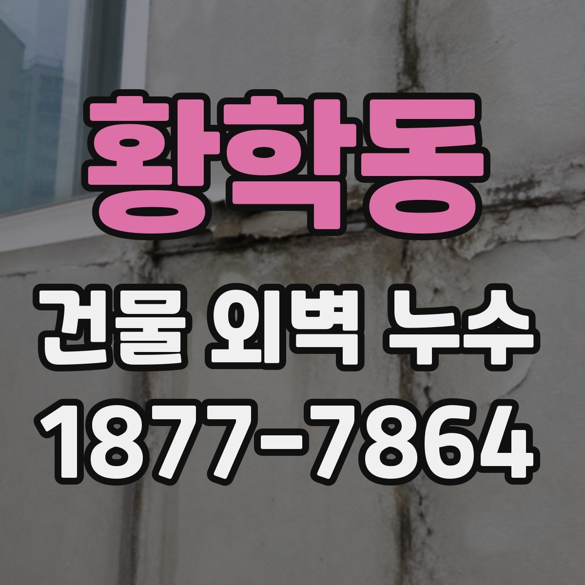황학동 건물 외벽 누수