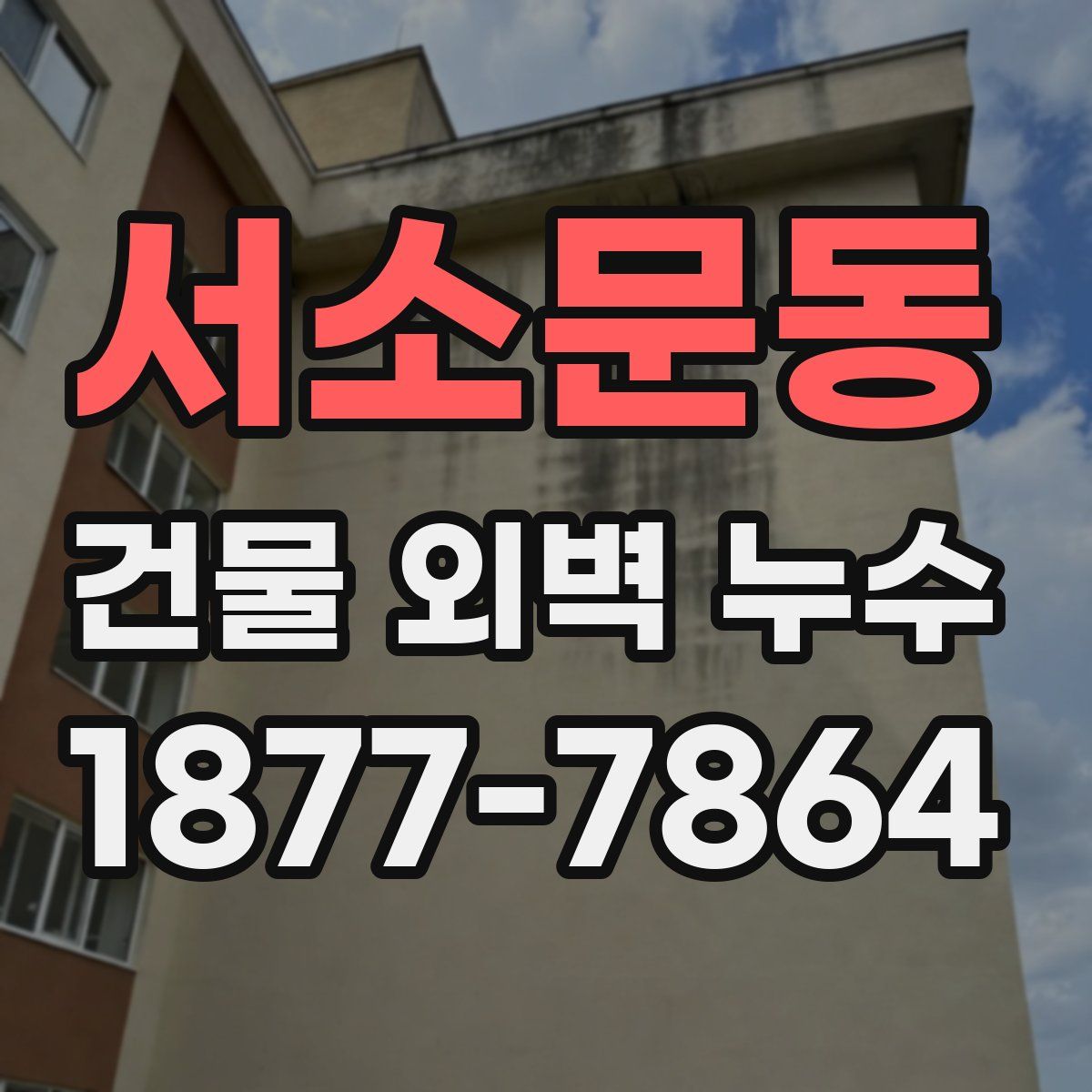 서소문동 건물 외벽 누수
