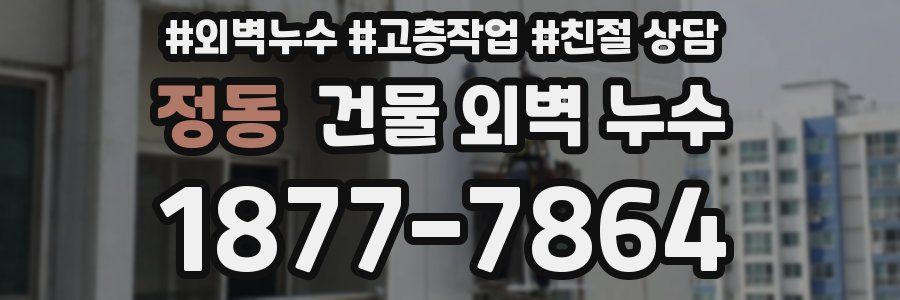 정동 건물 외벽 누수