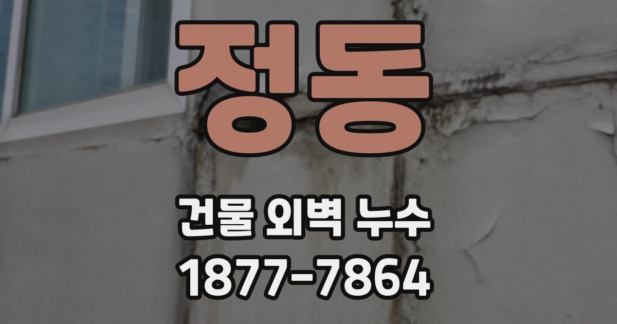 정동 건물 외벽 누수