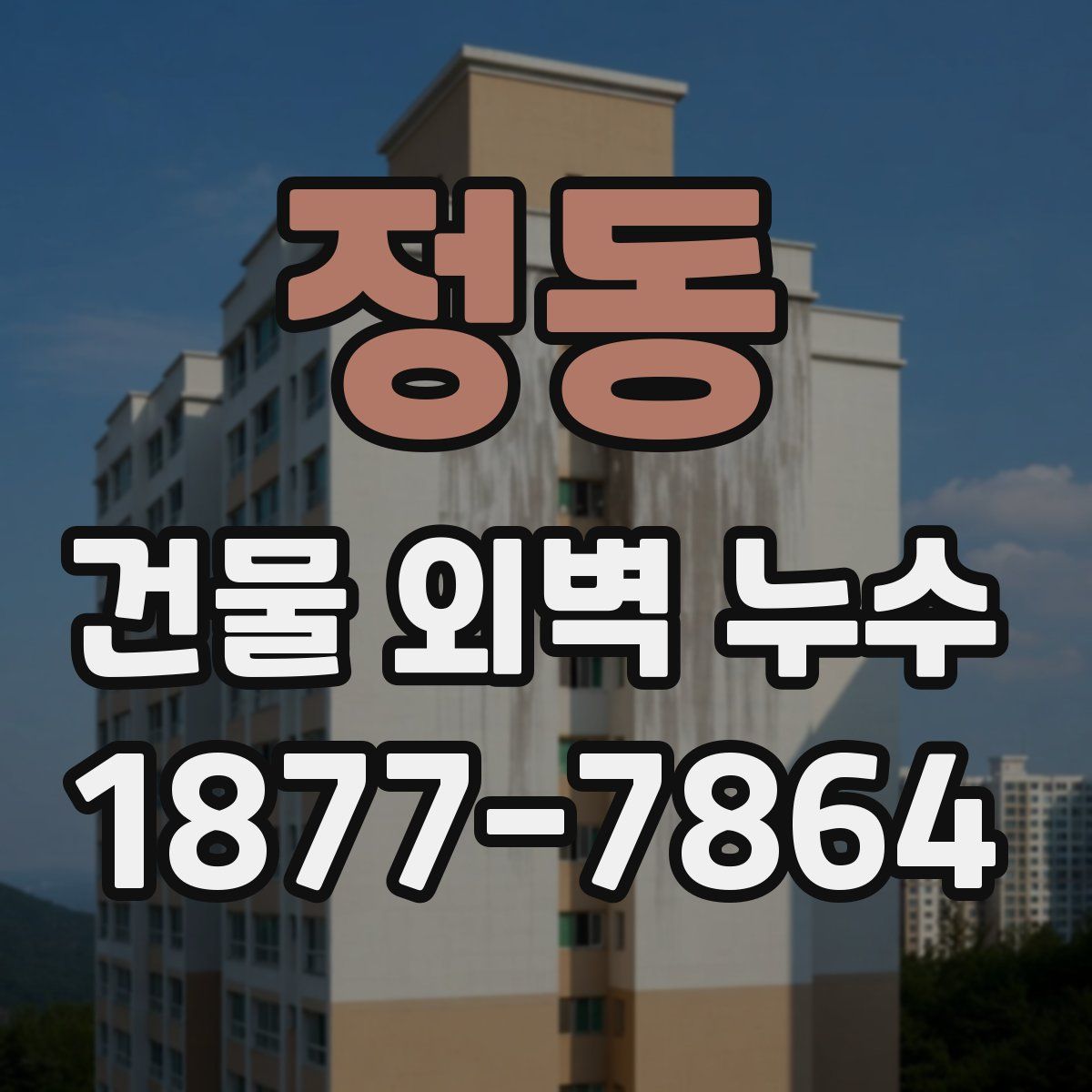 정동 건물 외벽 누수