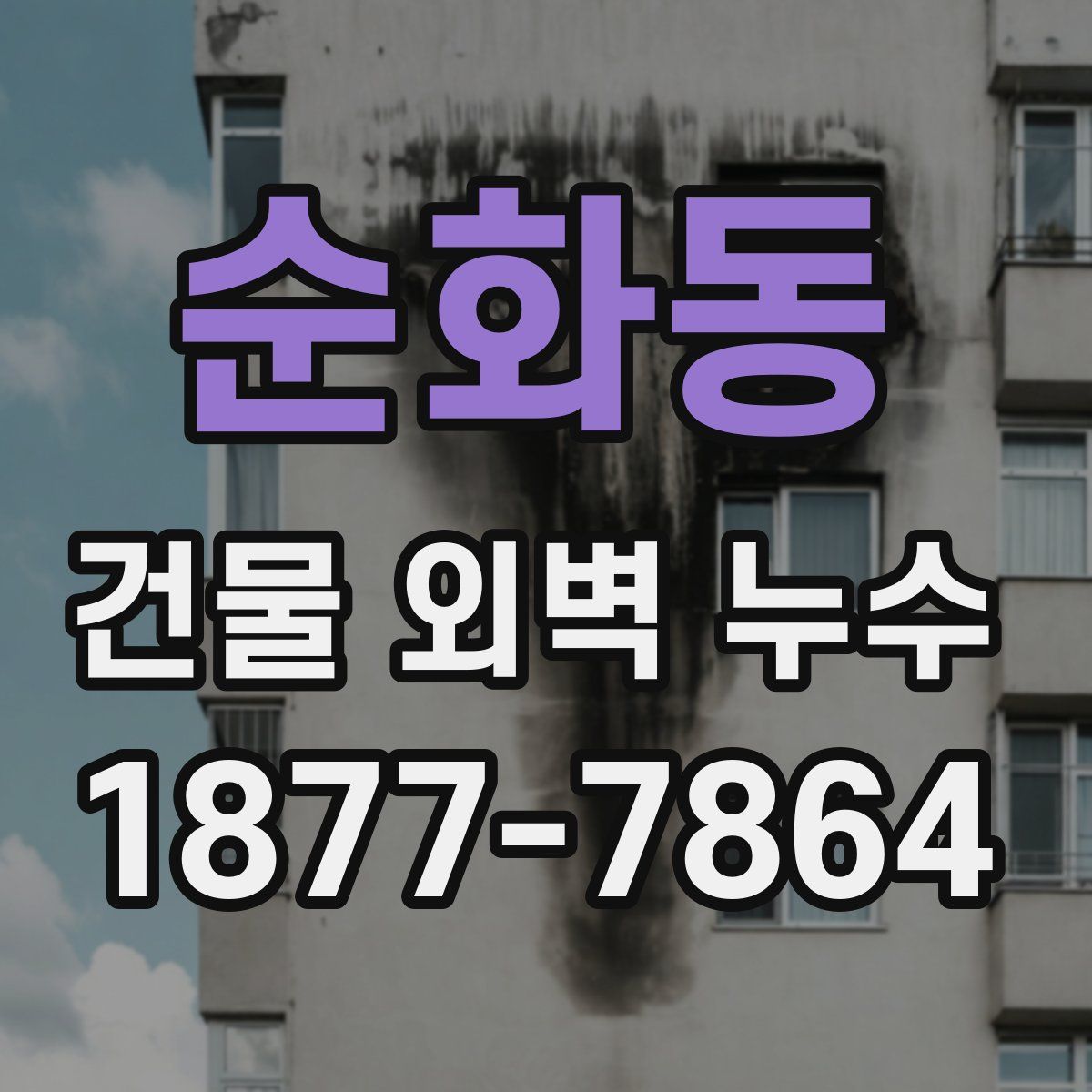 순화동 건물 외벽 누수