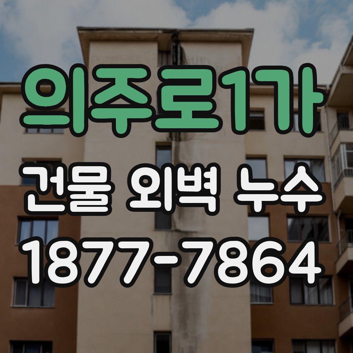 의주로1가 건물 외벽 누수