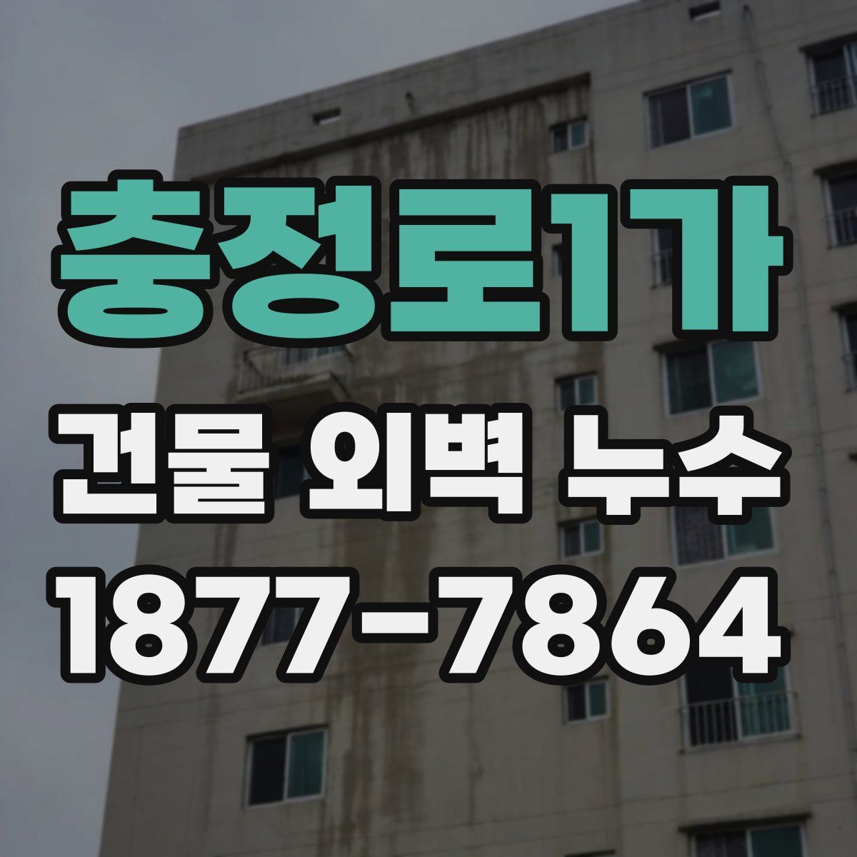 충정로1가 건물 외벽 누수