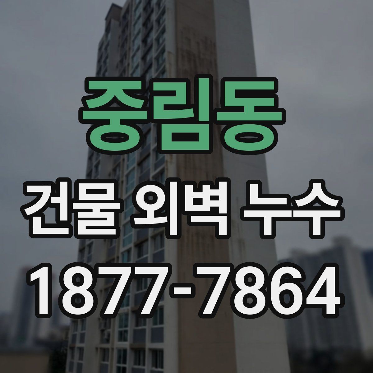 중림동 건물 외벽 누수 전문 점검이 필요한 경우