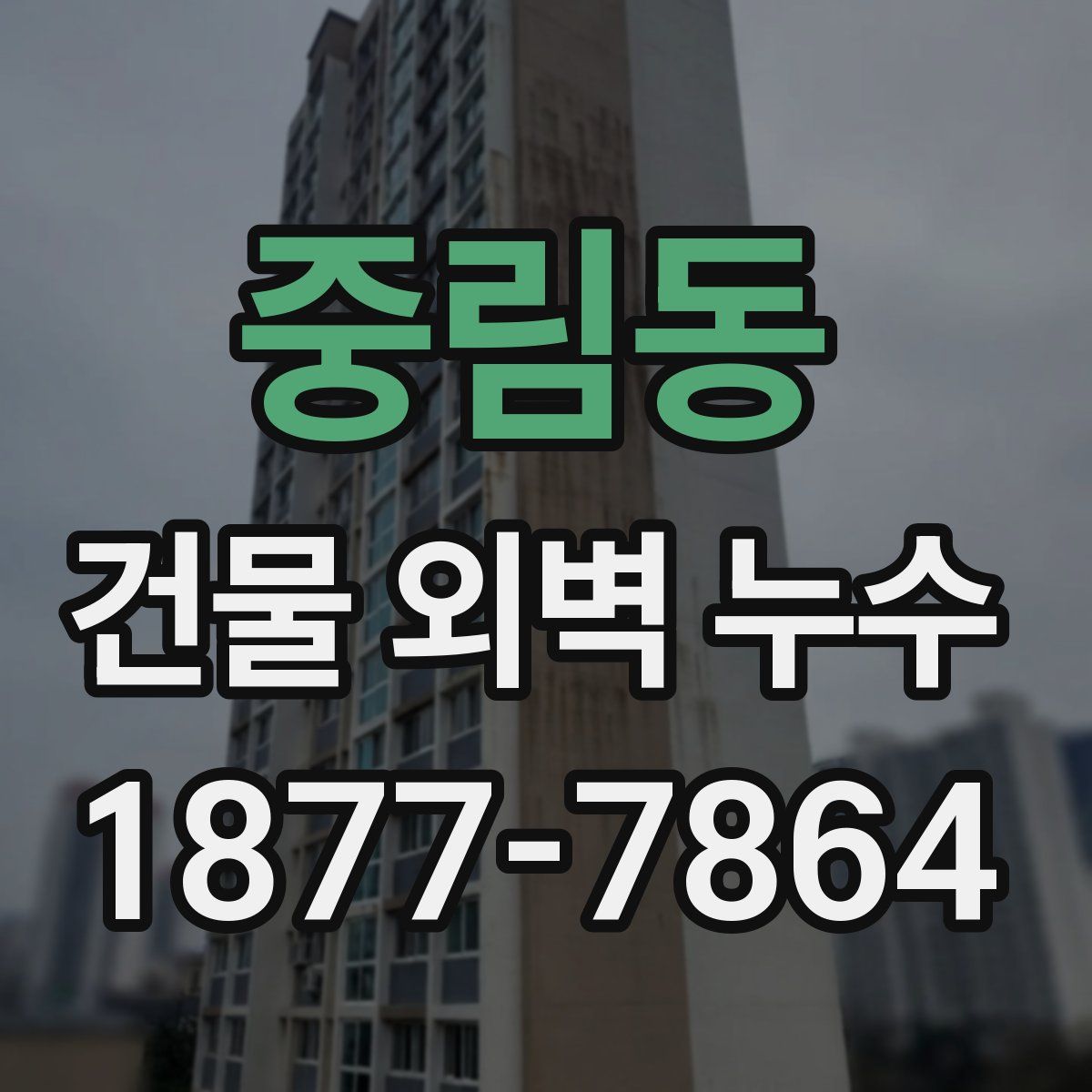 중림동 건물 외벽 누수