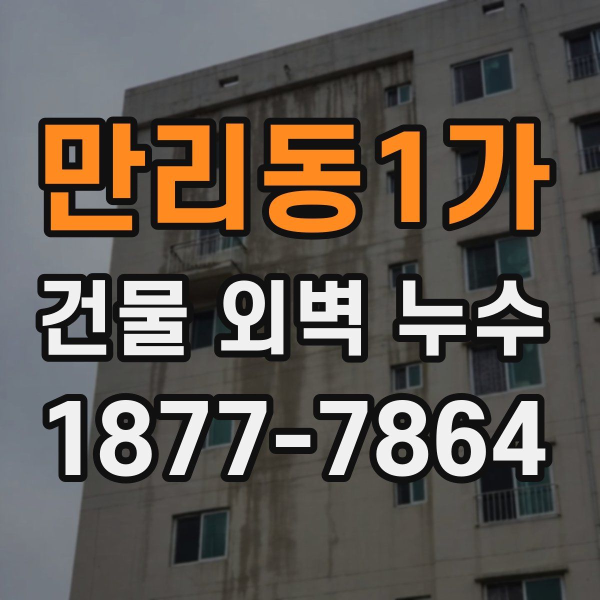 만리동1가 건물 외벽 누수