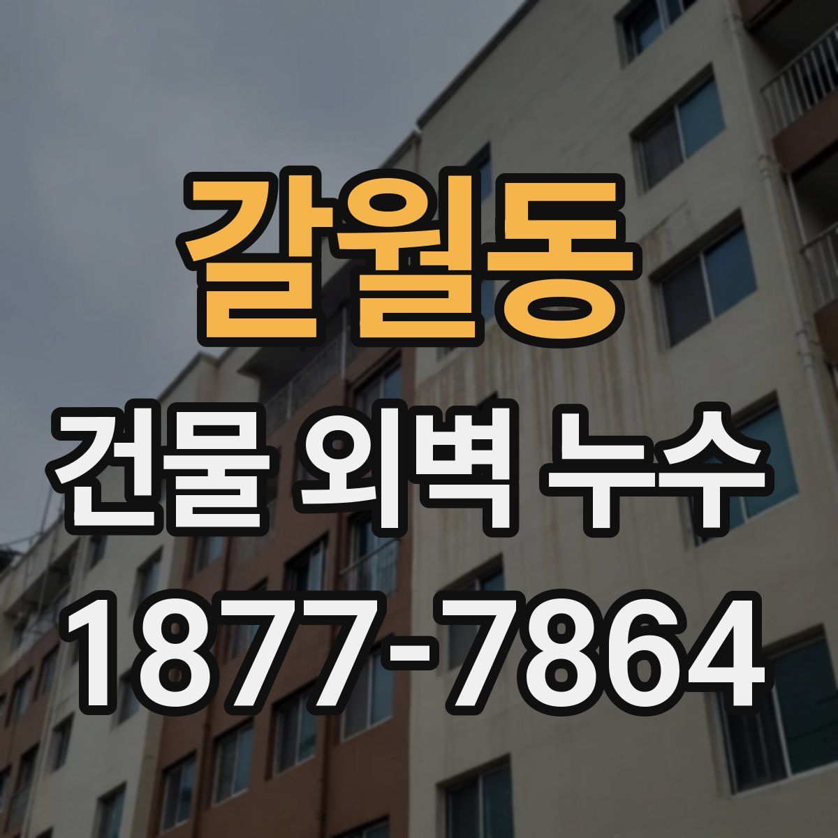 갈월동 건물 외벽 누수