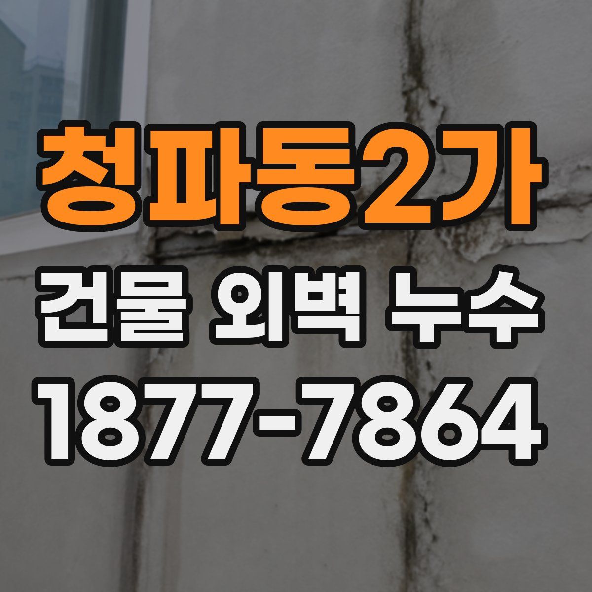 청파동2가 건물 외벽 누수