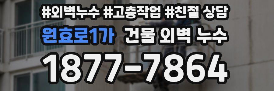 원효로1가 건물 외벽 누수