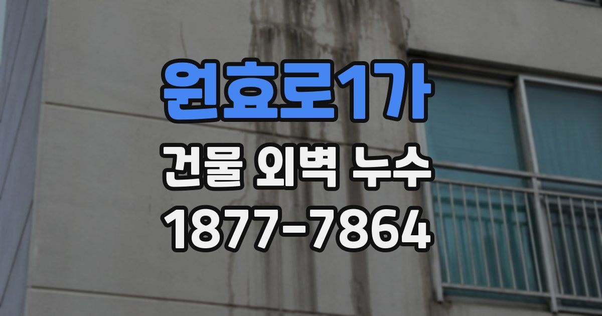 원효로1가 건물 외벽 누수
